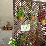 Venetian Garden